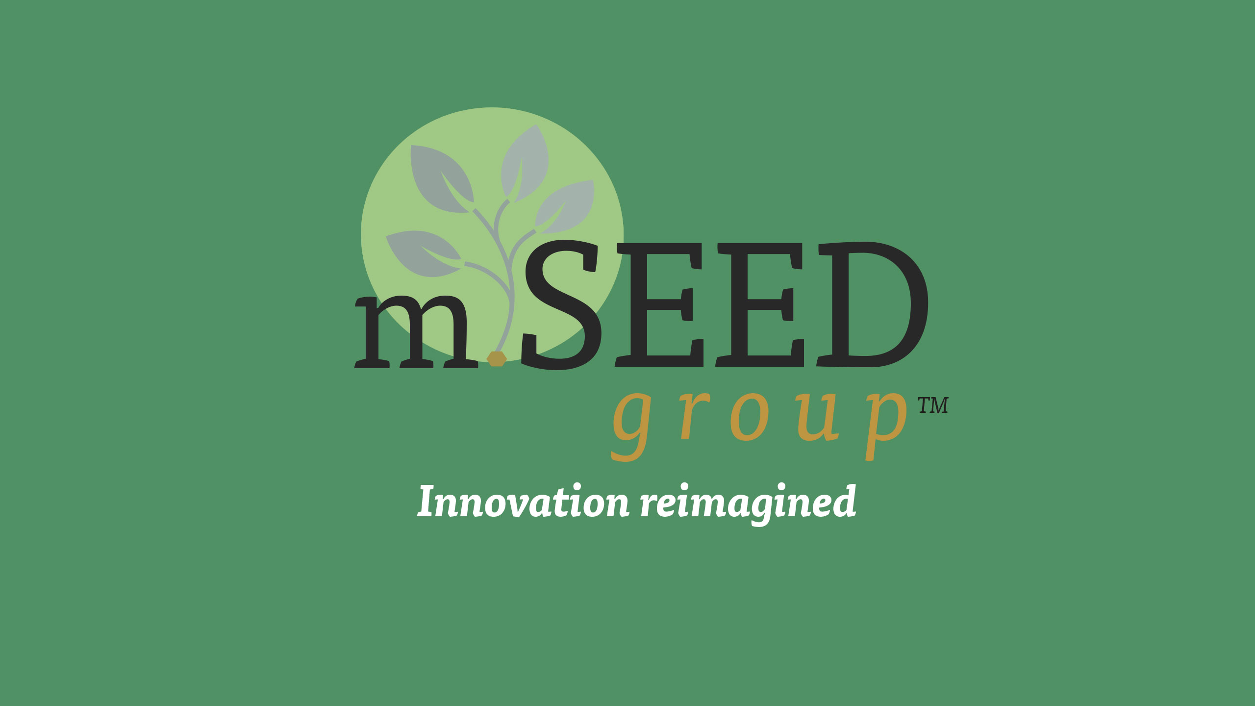 mSEED group Innovation Reimagined
